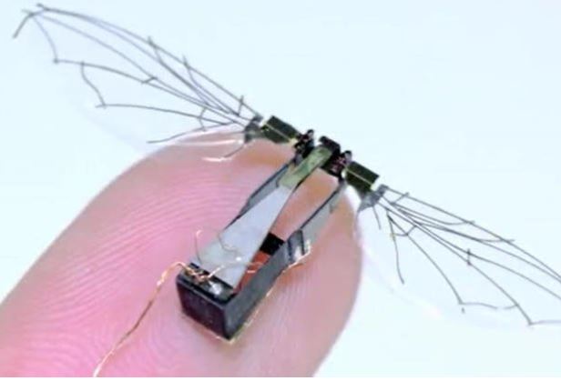 US Air Force Is Developing Bird-Like Microdrones with Flapping Wings