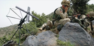 Military researchers ask industry for ways to use unmodified vegetation as sensors to detect chemical agents